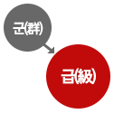 군(群) -> 급(級)