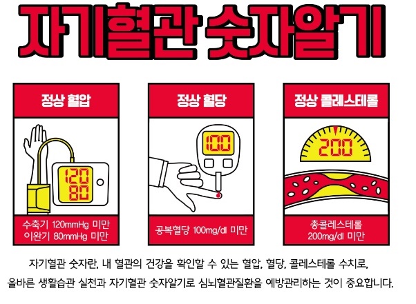 자기혈관 숫자알기